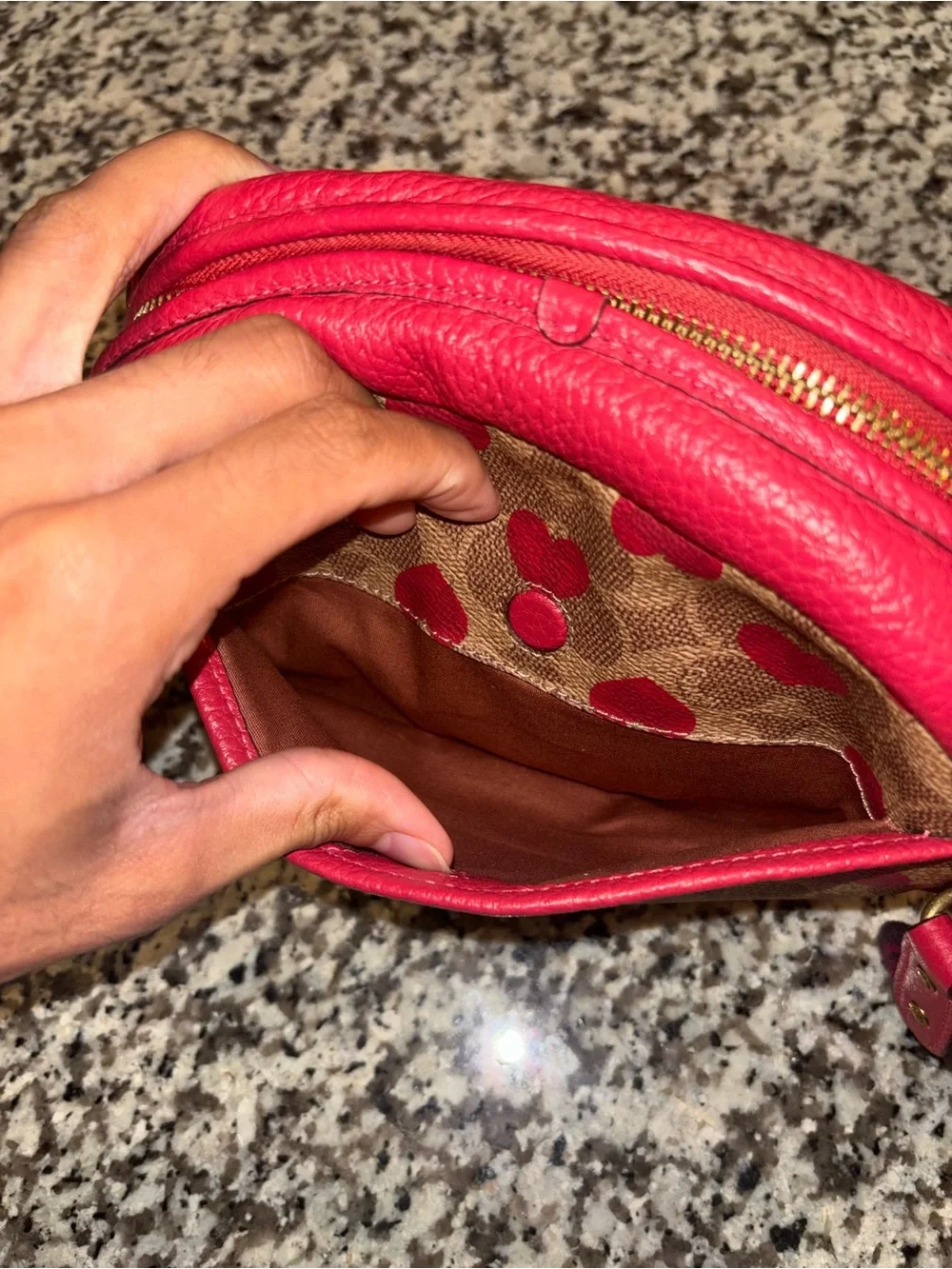 COACH Camera Heart Bag | Red and Brown | Medium